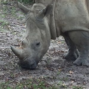 Meet your Posher, Jesse